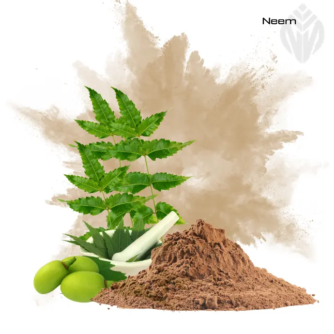 Neem leaf Extract 4:1