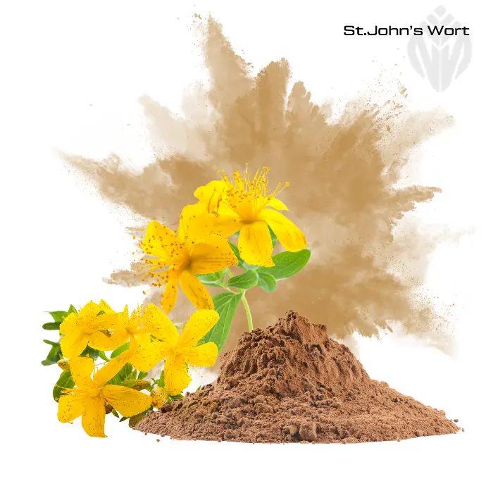 St. John's Wort Extract - Hypericin free