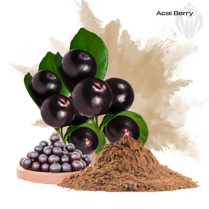 Acai Berry Extract 4:1 