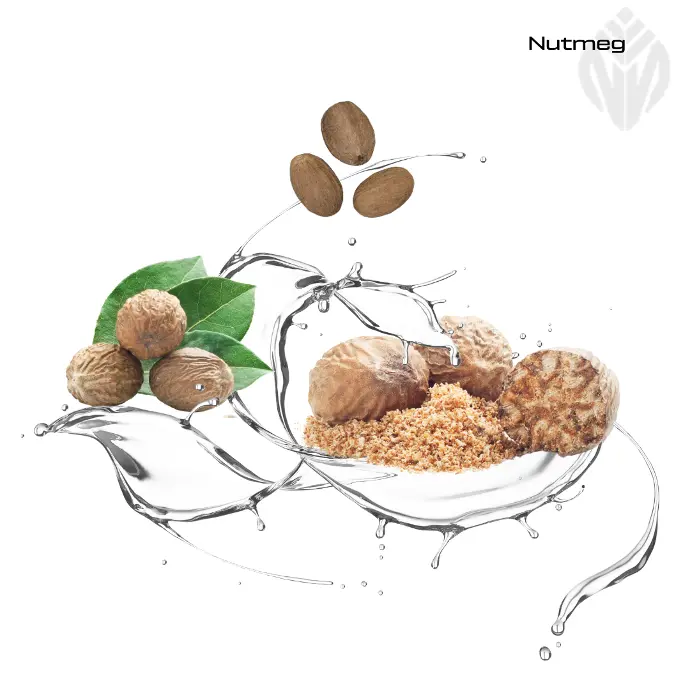 NUTMEG OIL