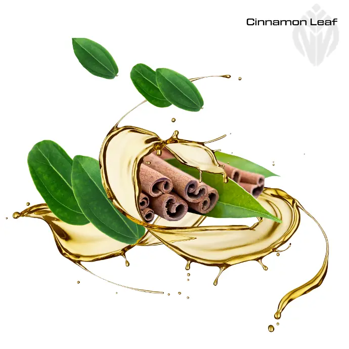 Cinnamon Leaf Oil