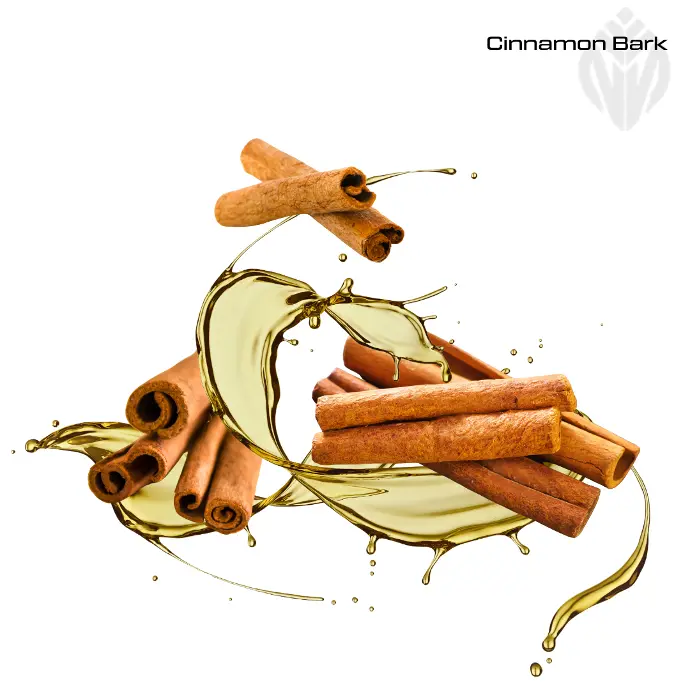 Cinnamon Bark Oil