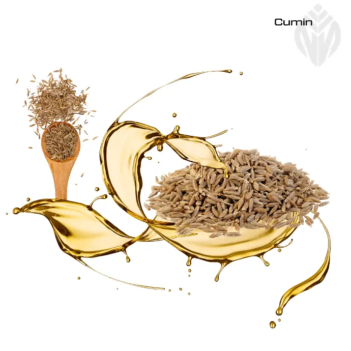 Cumin Oil