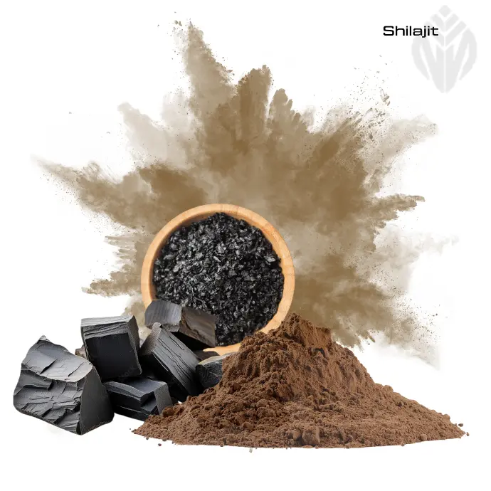  Shilajit Resin Extract