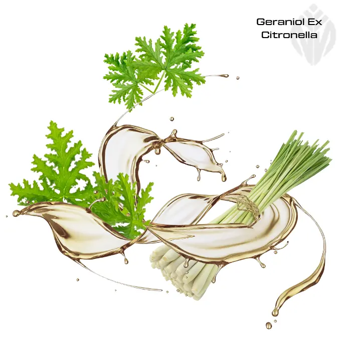 Geraniol Ex Citronella