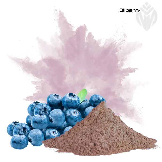 Bilberry Extract 10:1