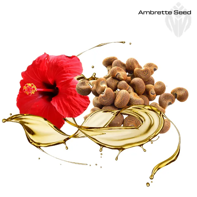 Ambrette Seed Oil