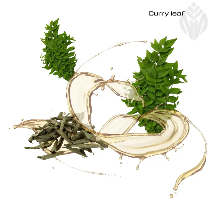 Curry Leaf Oil