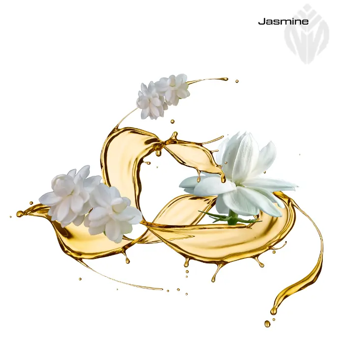 Jasmine Extract