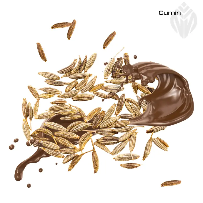 Cumin Oleoresin