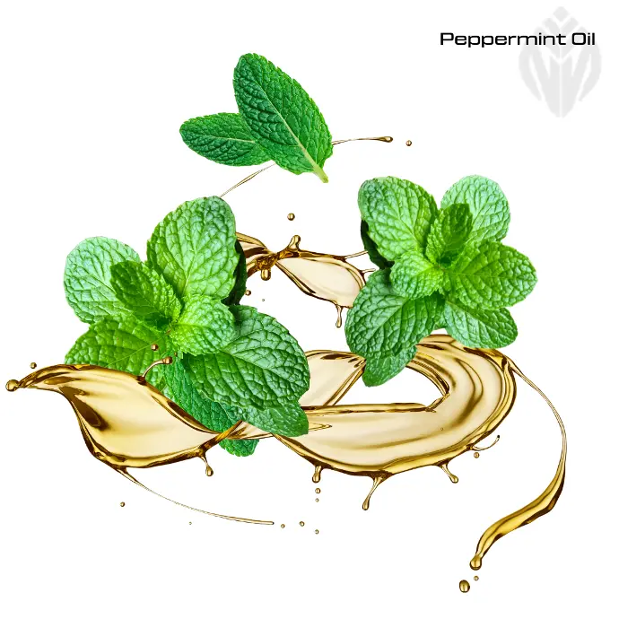 Peppermint Oil (NAKO SUSTAINABILITY)