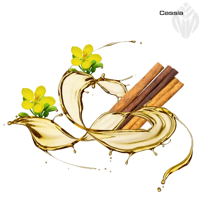 Cassia Oil