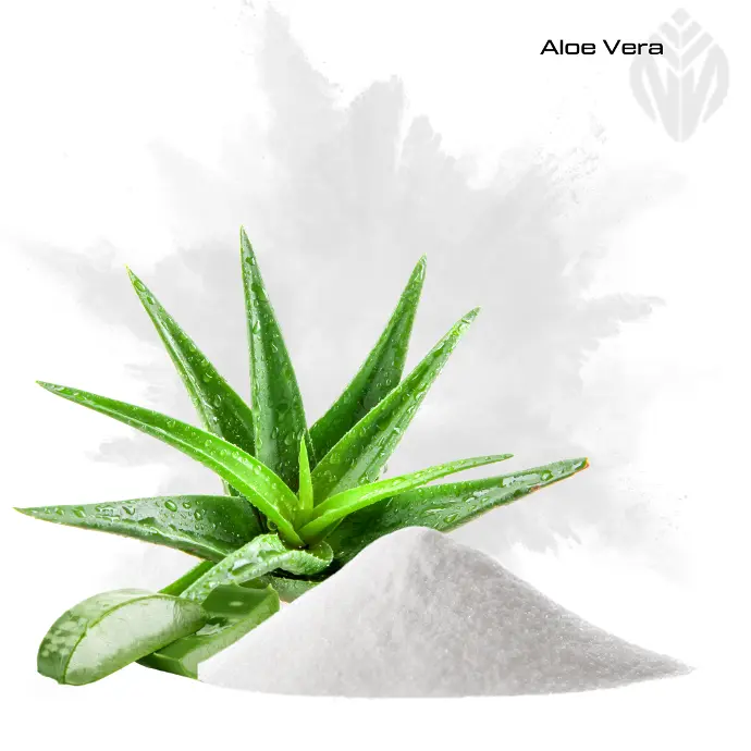 Aloe Vera Extract 200:1