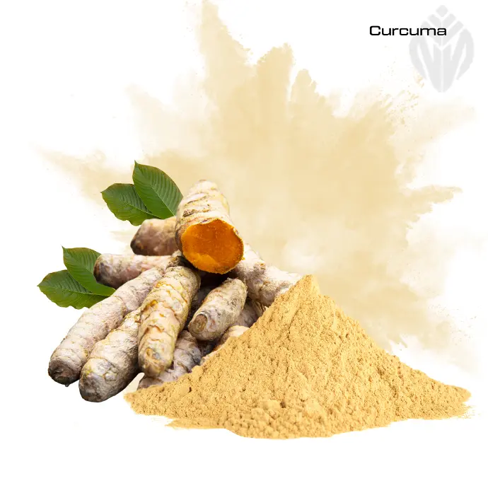 Curcuma Extract 