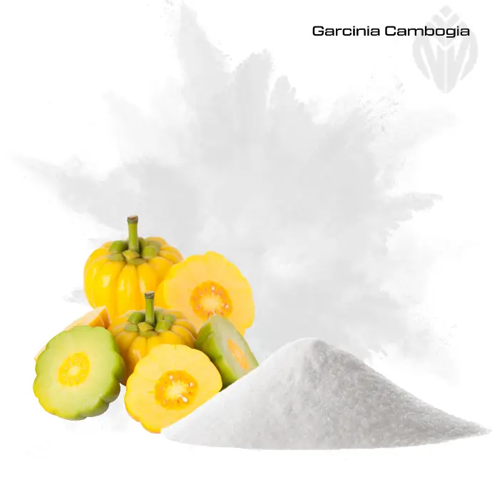 Garcinia Cambogia Extract