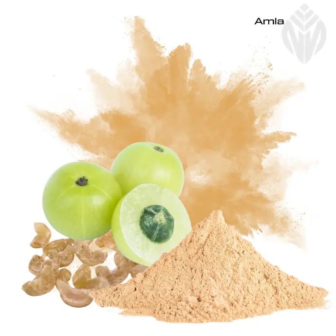 Amla Extract 