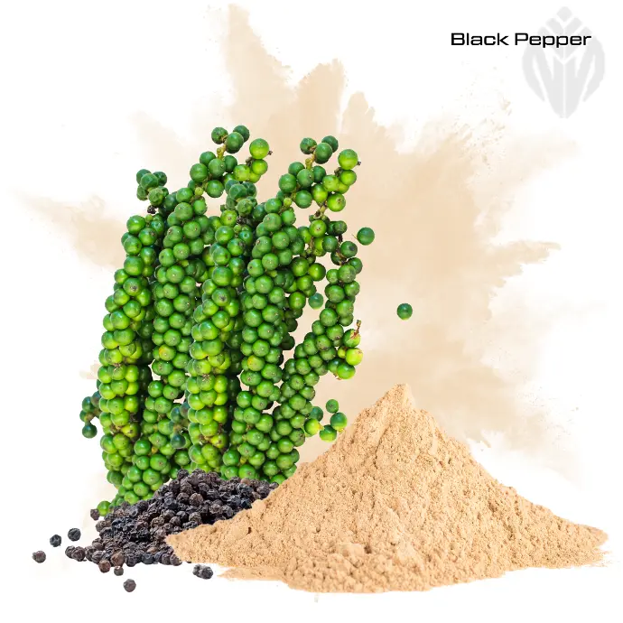 Black Pepper Extract 