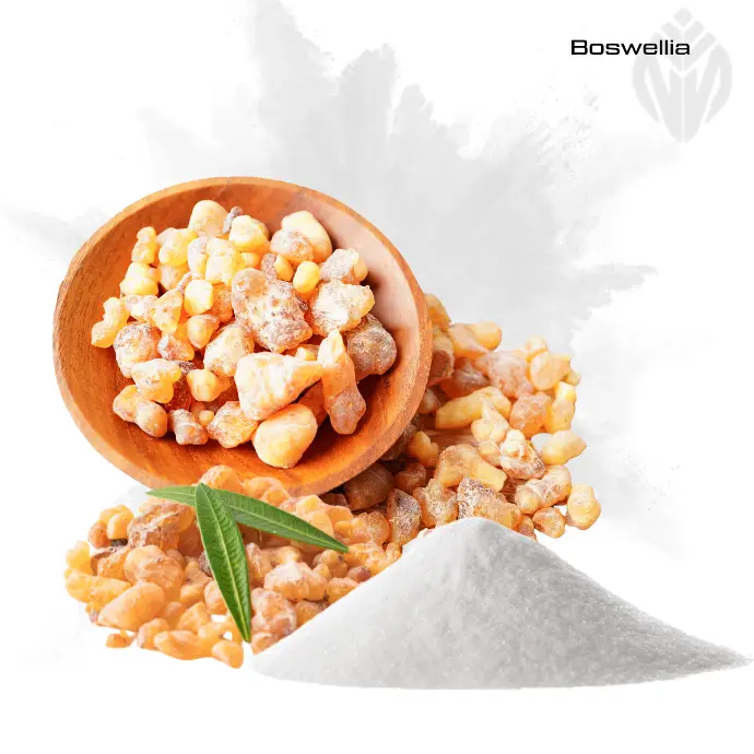 Organic Boswellia Extract