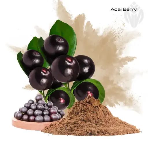 [400918] Acai Berry Extract 4:1 