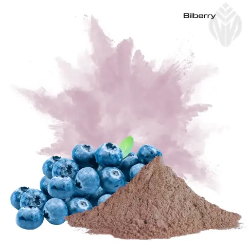 [405398] Bilberry Extract 10:1