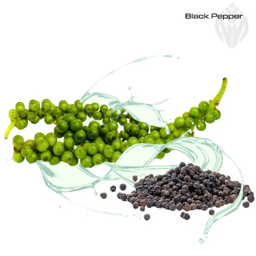 [405811] Black Pepper Oil