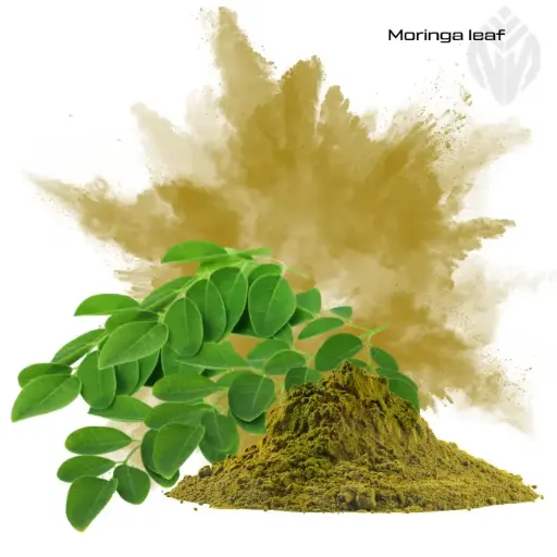 [406273] Organic Moringa Leaf Powder (DE-ÖKO-006)